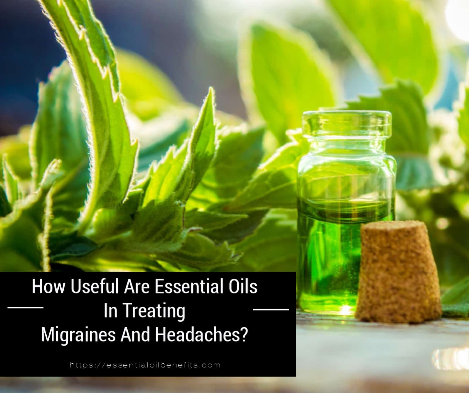 You are currently viewing Quelle est l’utilité des huiles essentielles dans le traitement des migraines et des maux de tête? |