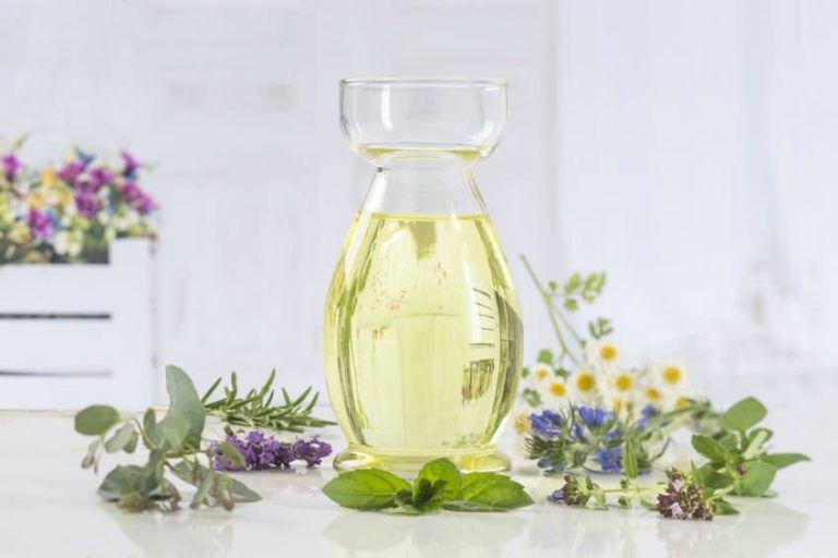 Lire la suite à propos de l’article Meilleures huiles essentielles pour le soulagement de la migraine pour les adultes et les enfants