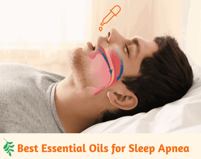 Lire la suite à propos de l’article Meilleures huiles essentielles à utiliser pour le traitement de l’apnée du sommeil