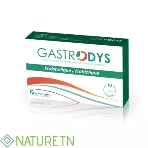 FARMAVANS GASTRODYS, 10 Gélules
