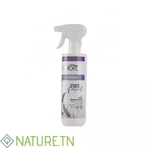 HERASTEL ADORA DESODORISANT STATE OF MIND 500ML