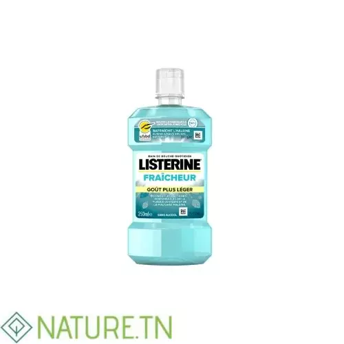 LISTERINE BAIN DE BOUCHE FRAICHEUR 250ML 2