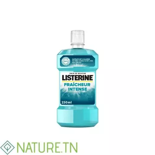 LISTERINE BAIN DE BOUCHE QUOTIDIEN FRAICHEUR INTENSE 250 ML 2