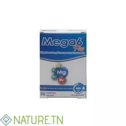 MEGA 6 PLUS 30 COMPRIMES 2