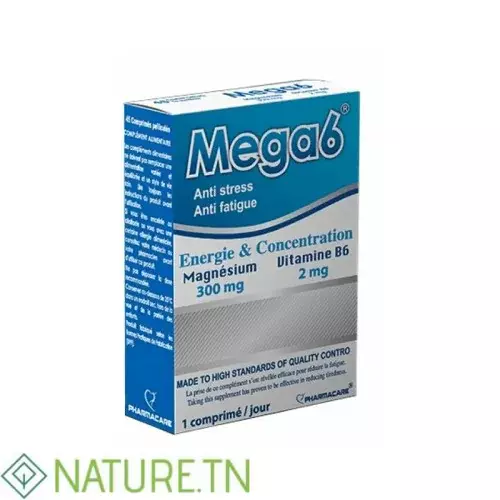 PHARMACARE MEGA 6, 45 COMPRIMES 1