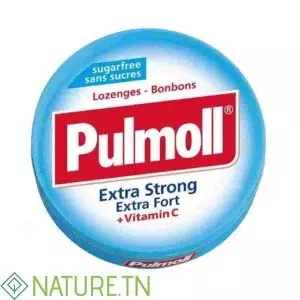 PULMOLL PASTILLES EXTRA FORT 45 G