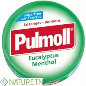PULMOLL EUCALYPTUS MENTHOL PASTILLES SANS SUCRES 45 G
