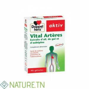 AKTIV VITAL ARTERES 90 GELULES