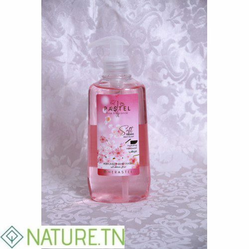 PASTEL SAVON LIQUIDE SOFT TOUCH 350 ML 2