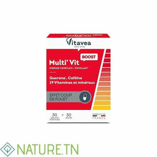 VITAVEA MULTI VIT BOOST 30 GELULES 1