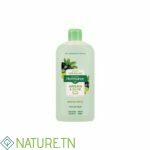 FLORESSANCE Shampooing Huile Argan et Olive – 250ml