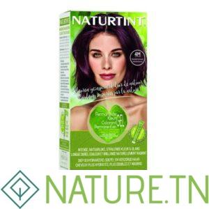 NATURTINT COLORATION PERMANANTE 4M CHATAIN ACAJOU 170 ML