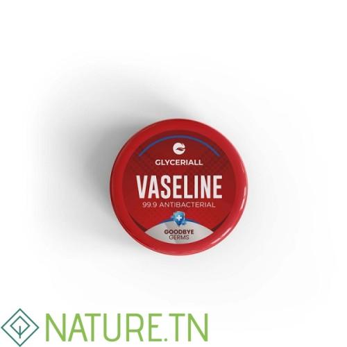 GLYCERIALL VASELINE HYPOALLERGENIQUE POT 100ML 2