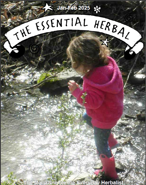 L'herbe essentielle janvier / février 2025
