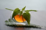Un petit bol en verre rond de thé brun avec des feuilles d'ortie fraîche