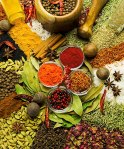 Une propagation colorée de diverses épices entières et poudres d'épices