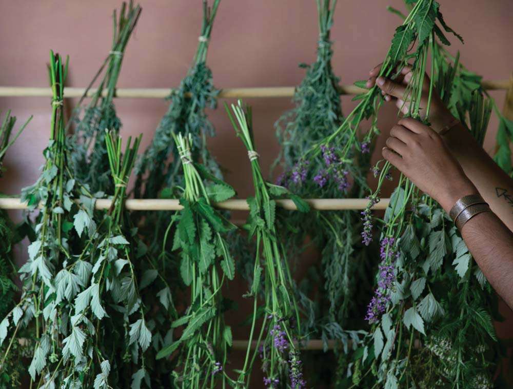 Stockage des herbes séchées et des préparations à base de plantes pour la fraîcheur et la longévité
