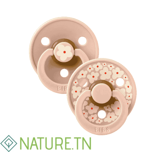 BIBS 2 SUCETTES COLOUR NATURAL RUBBER JASMINE BLUSH MIX SIZE 1 3 BIBS 2 SUCETTES COLOUR NATURAL RUBBER JASMINE BLUSH MIX SIZE 1
