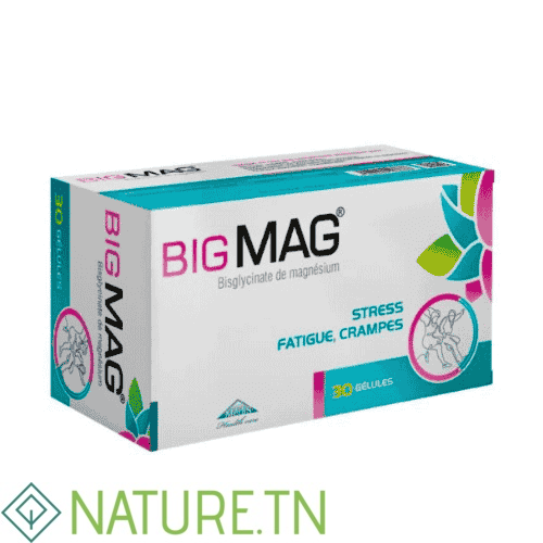 BIGMAG BT 30 1