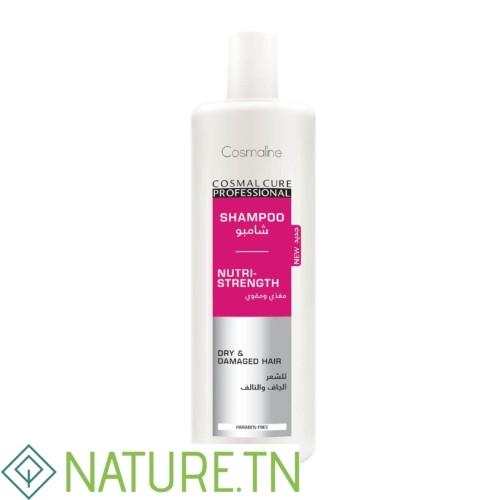 COSMALINE SHAMPOOING CHEVEUX SECS ET ABIMES 500ML 3 COSMALINE SHAMPOOING CHEVEUX SECS ET ABIMES 500ML