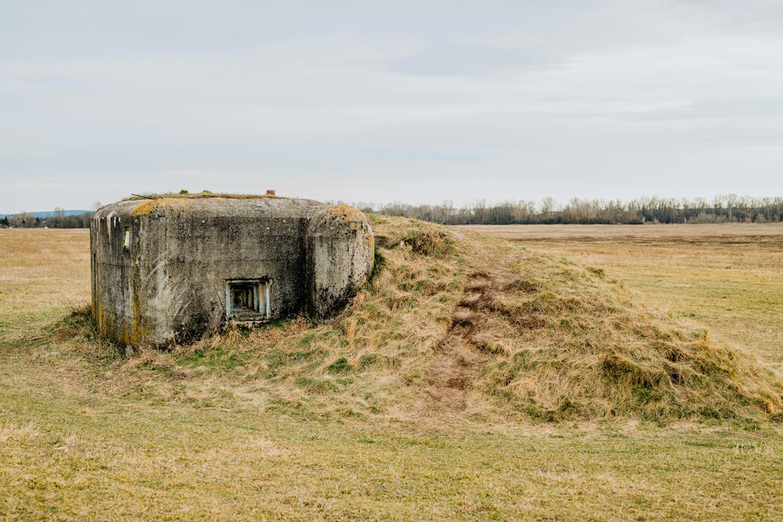 À l'intérieur des bunkers anti-apocalypse des ultra-riches: l'âme chaleureuse 17 Structure en béton recouverte d'herbe