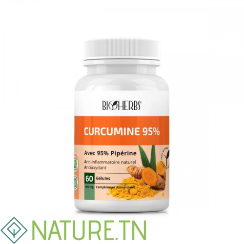 BIOHERBS CURCUMINE 95% 60 GELULES 2 BIOHERBS CURCUMINE 95% 60 GELULES 2