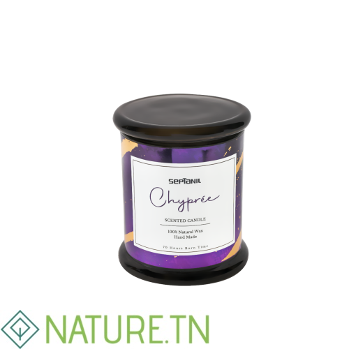SEPTANIL BOUGIE PARFUMEE CHYPREE 280GR 3 SEPTANIL BOUGIE PARFUMEE CHYPREE 280GR