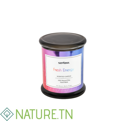 SEPTANIL BOUGIE PARFUMEE FRESH ENERGIE 280GR 2