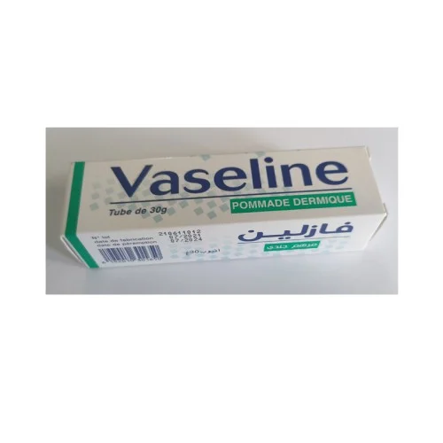 VASELINE POMMADE DERMIQUE 30 G 1