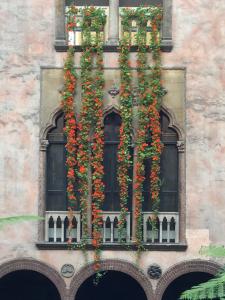 Image de la cour de suspension de Nasturtiums, 2021. Musée Isabella Stewart Gardner, Boston