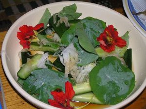 Photo de la salade de Nasturium