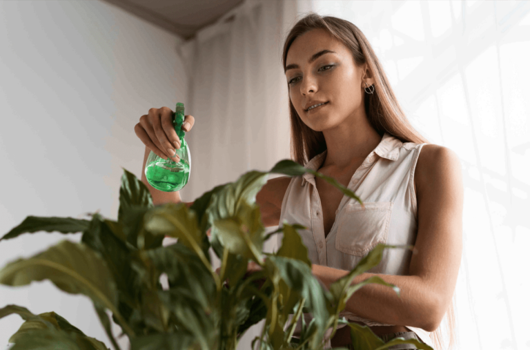 Conseils experts pour créer un environnement domestique sans toxication - cliganique
