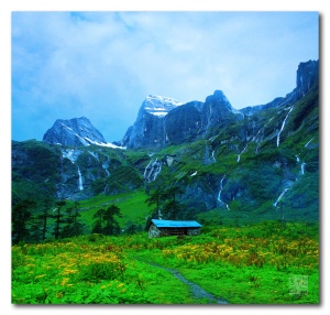 Je ne te connais pas quelque part? - Le blog The Herb Society of America 1