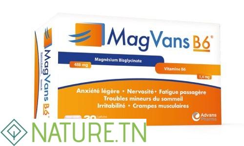 ADVANS PHARMA MAGVANS B6 30 GELULES 3 ADVANS PHARMA MAGVANS B6 30 GELULES