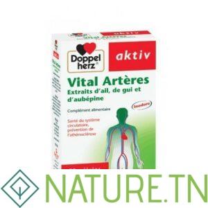 AKTIV VITAL ARTERES 90 GELULES