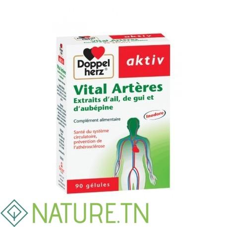 AKTIV VITAL ARTERES 90 GELULES 2 AKTIV VITAL ARTERES 90 GELULES 2