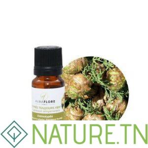 ALMAFLORE HUILE ESSENTIELLE DE CYPRÈS 10ML