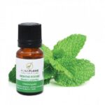 ALMAFLORE HUILE ESSENTIELLE MENTHE POIVRE 10ML