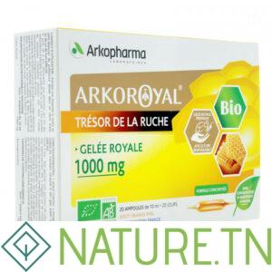 ARKOPHARMA GELEE ROYALE BIO 1000 MG 20 AMPOULES