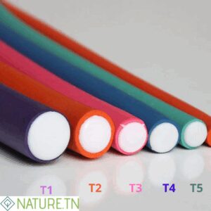 AZAL LOT DE 10 BIGOUDIS