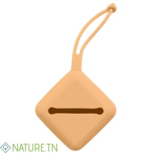 BIBS PACIFIER CASE ETUI A TETINE PUMPKIN