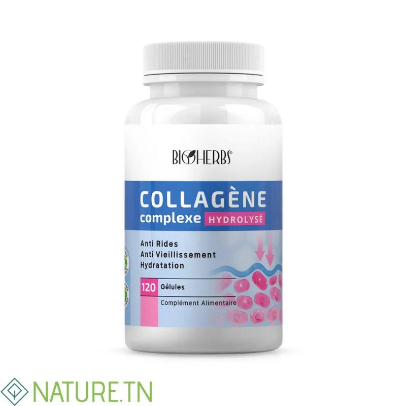 BIOHERBS COLLAGENE COMPLEXE HYDROLYSE 120 GELULES 1 BIOHERBS COLLAGENE COMPLEXE HYDROLYSE 120 GELULES 1