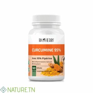 BIOHERBS CURCUMINE 95% 60 GELULES