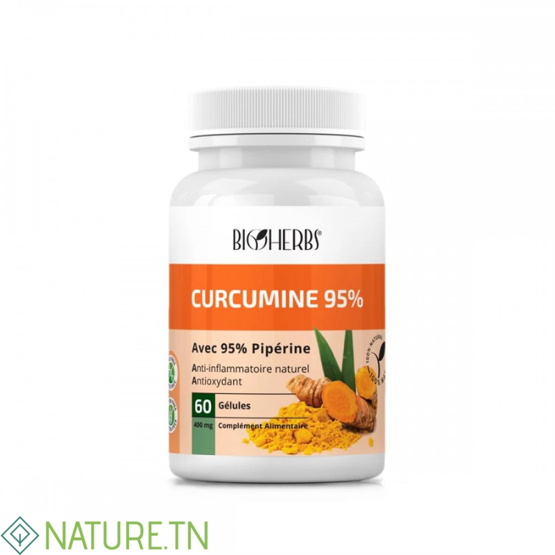 BIOHERBS CURCUMINE 95% 60 GELULES 3 BIOHERBS CURCUMINE 95% 60 GELULES