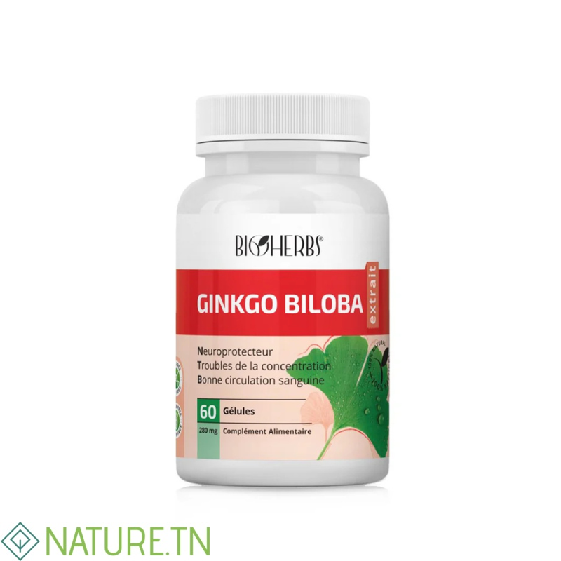 BIOHERBS GINKGO BILOBA EXTRAIT 60 GELULES 2 BIOHERBS GINKGO BILOBA EXTRAIT 60 GELULES 2