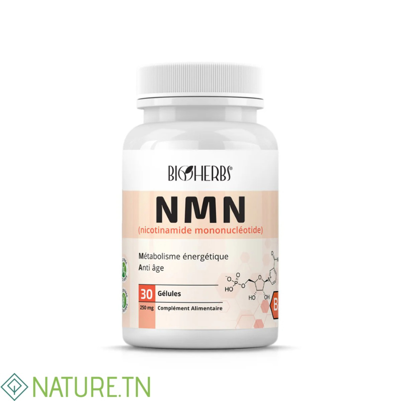 BIOHERBS NMN NICOTINAMIDE MONONUCLEOTIDE 30 GELULES 3 BIOHERBS NMN NICOTINAMIDE MONONUCLEOTIDE 30 GELULES