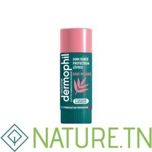 DERMOPHIL STICK A LEVRES SOIN TEINTE 4Gr