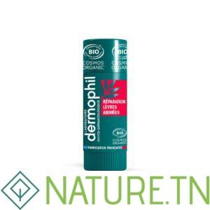 DERMOPHIL STICK REPARATION LEVRES ABIMEES 4Gr