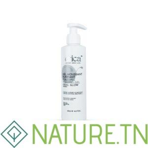 ERICA GEL NETTOYANT PEAUX MIXTES A GRASSES 250ML