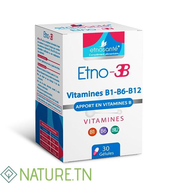 ETNOSANTE ETNO-3B APPORT EN VITAMINES B 30 GELULES 3 ETNOSANTE ETNO-3B APPORT EN VITAMINES B 30 GELULES